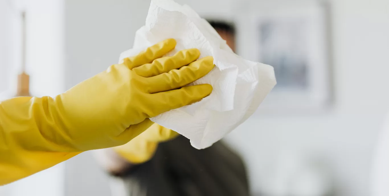 Cleaning and Domestic Assistance Services Sydney
