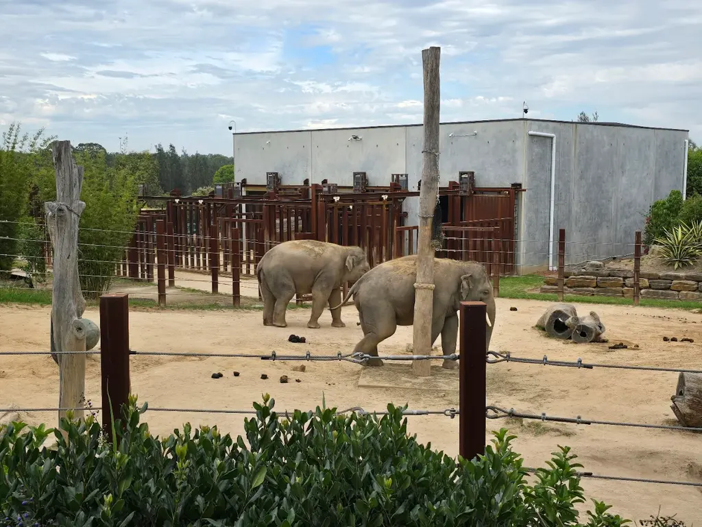 Sydney Zoo