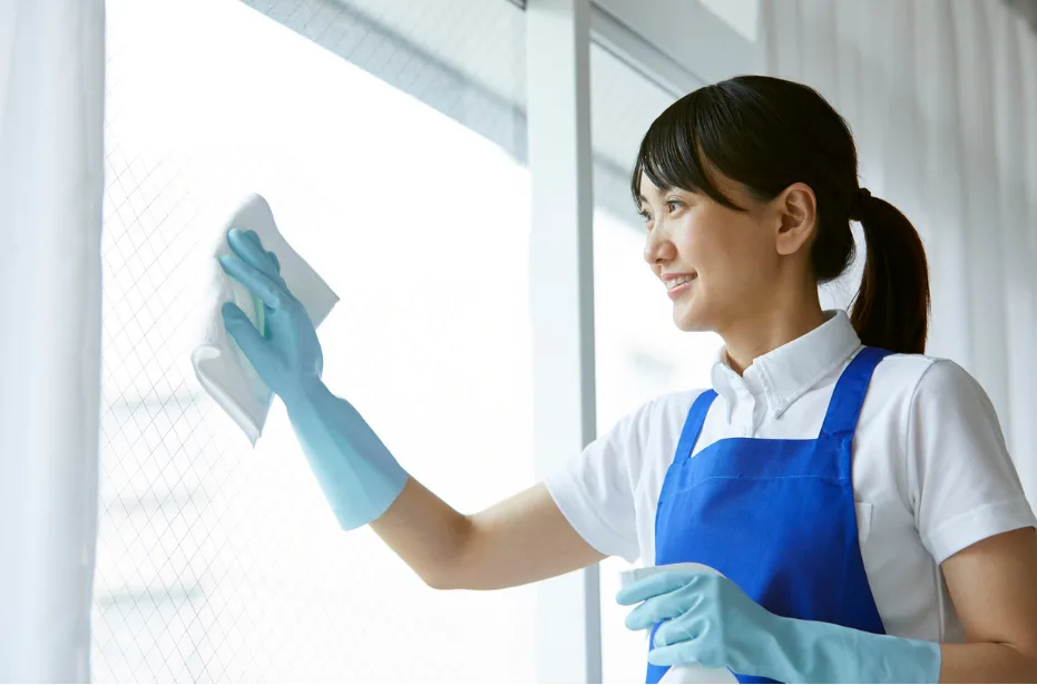cleaning professional