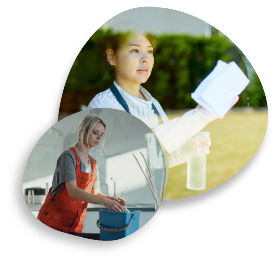 cleaning domestic support works