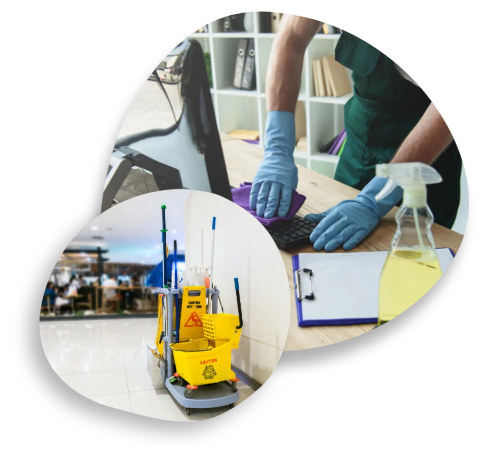 domestic assistance in cleaning